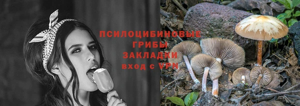 Альфа ПВП Магас
