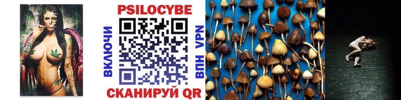 Галлюциногенные грибы Psilocybe  Симферополь 