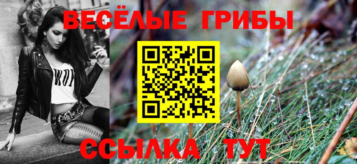 Псилоцибиновые грибы MAGIC MUSHROOMS Симферополь